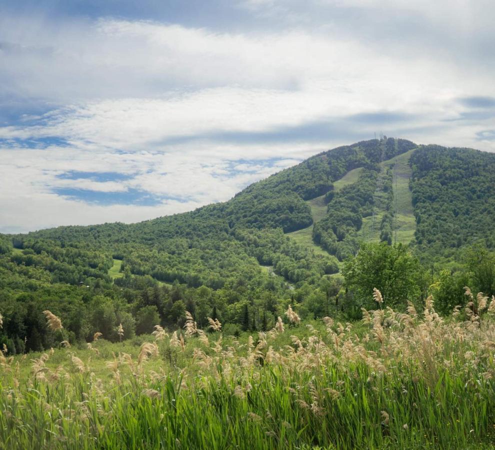 Condo Hotel Au Pied Du Mont Orford Kültér fotó