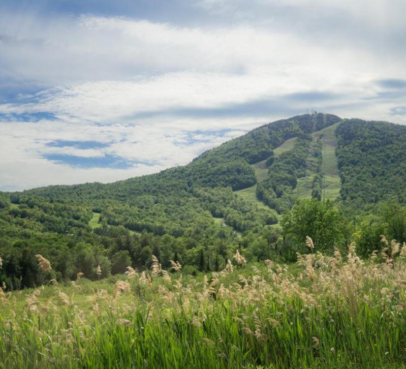 Condo Hotel Au Pied Du Mont Orford Szoba fotó
